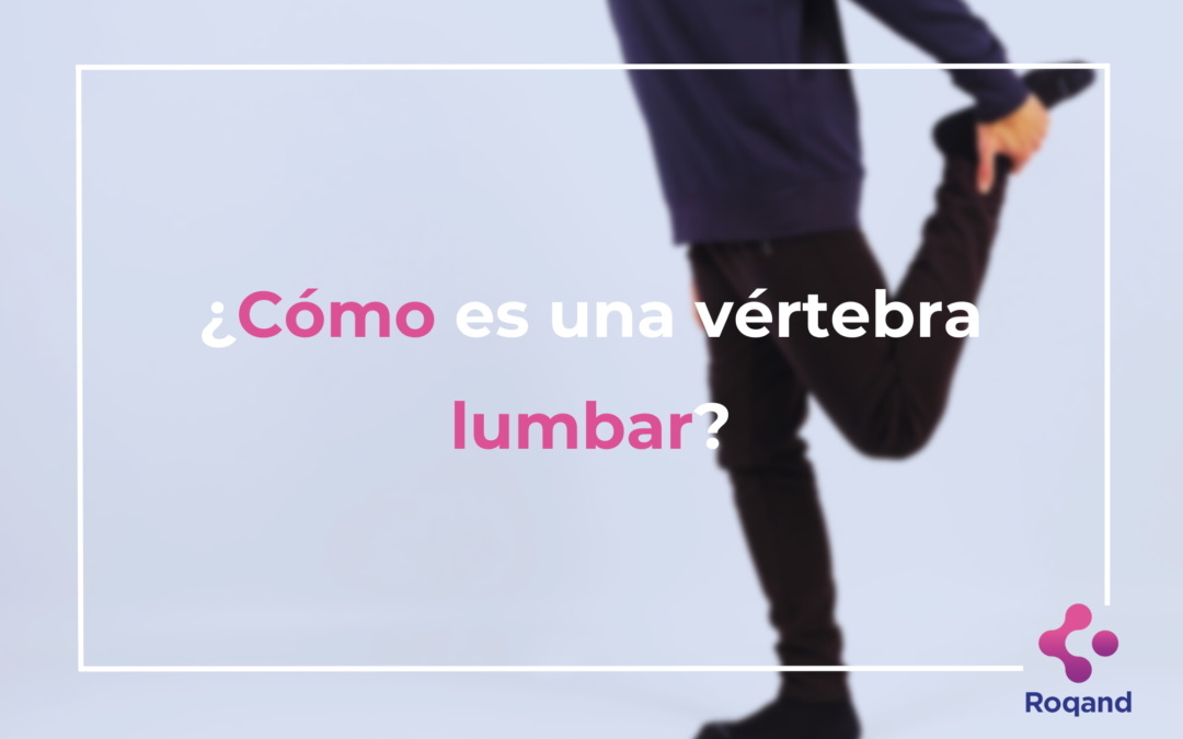 Título de la publicación: ¿Cómo es una vértebra lumbar?