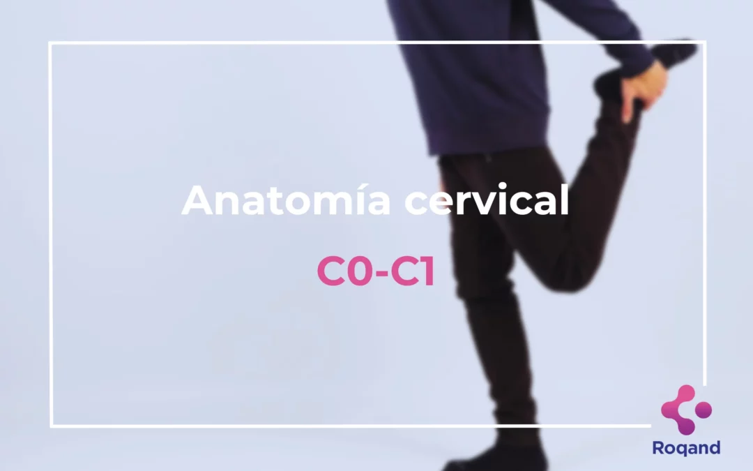 Título de la publicación: Anatomía cervical C0-C1