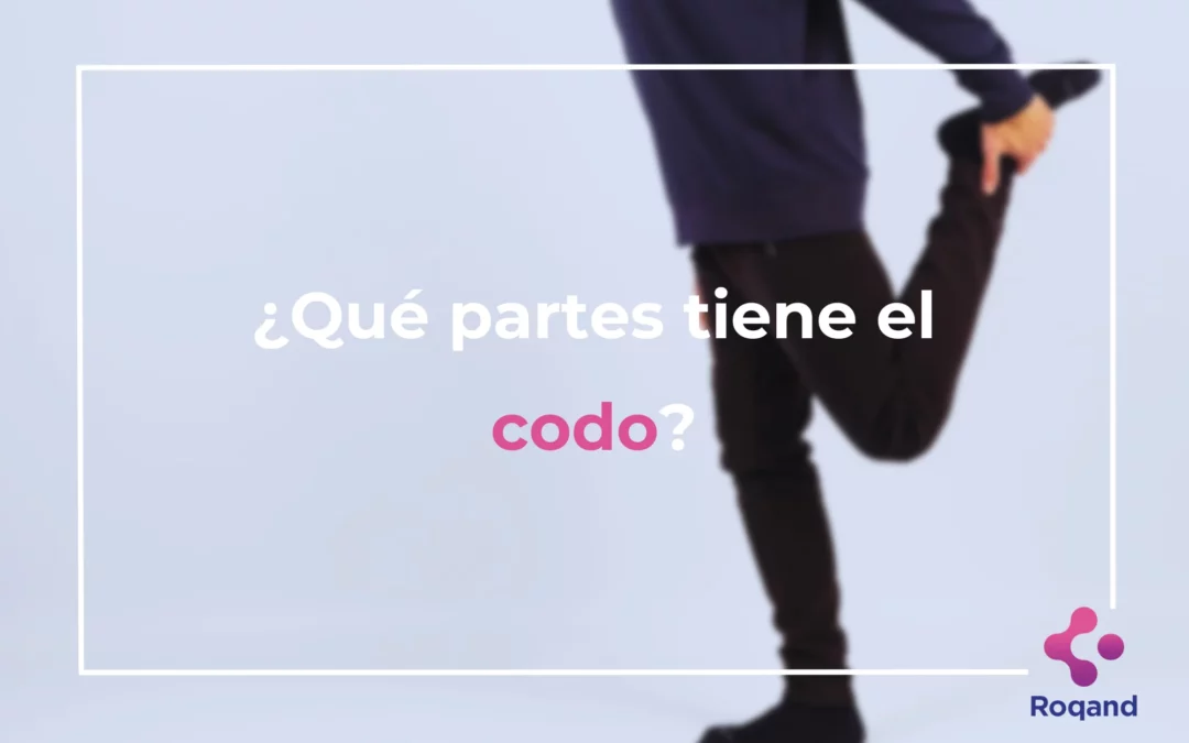 ¿Qué es el codo?