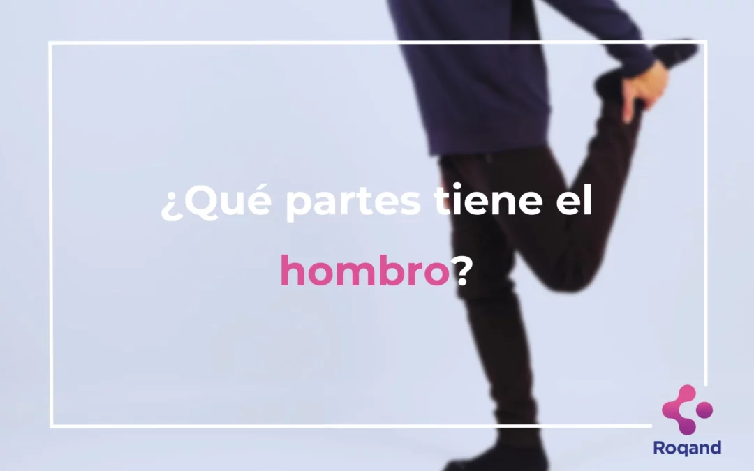 ¿Qué partes tiene el hombro?