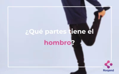 ¿Qué partes tiene el hombro?